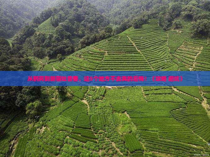 鹤岗到新疆吐鲁番必去地