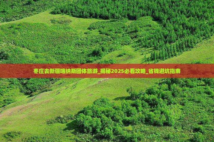 枣庄去新疆喀纳斯团体旅游