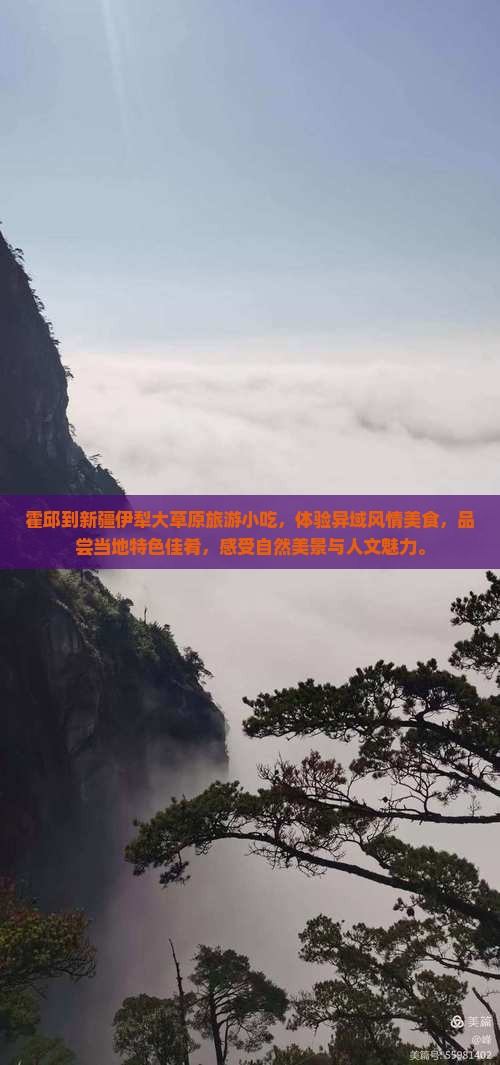 霍邱到新疆伊犁大草原旅游小吃