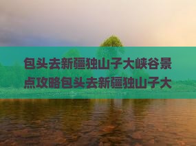 包头去新疆独山子大峡谷景点