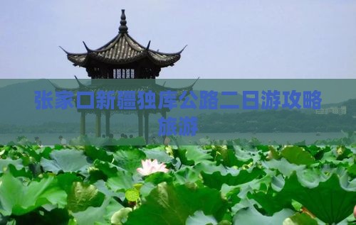 张家口去新疆独库公路二日游