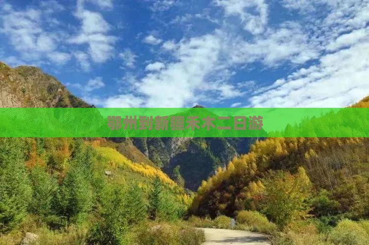 鄂州到新疆禾木二日游