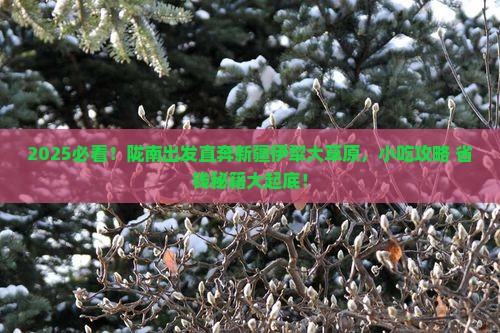 陇南到新疆伊犁大草原旅游小吃