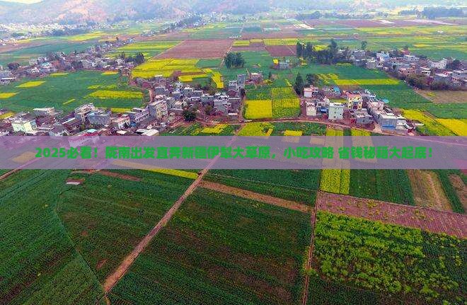 陇南到新疆伊犁大草原旅游小吃