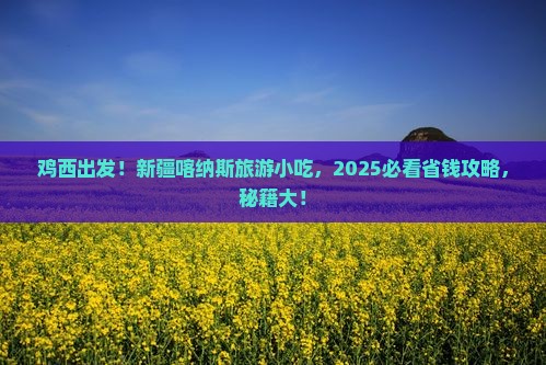 鸡西去新疆喀纳斯旅游小吃