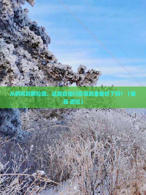 鹤岗到新疆那拉提自由行
