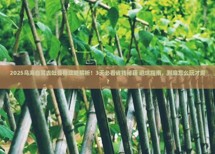 乌海去新疆吐鲁番攻略