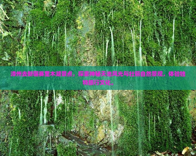 漳州去新疆赛里木湖景点