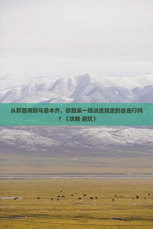 黔西南到新疆乌鲁木齐自由行