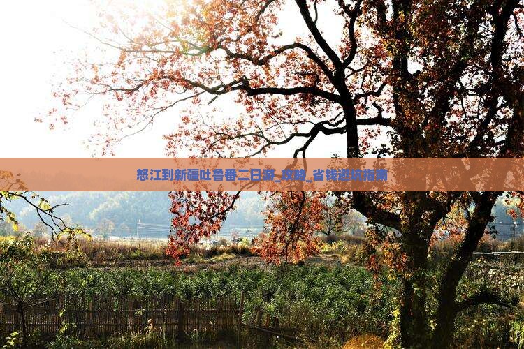 怒江到新疆吐鲁番二日游