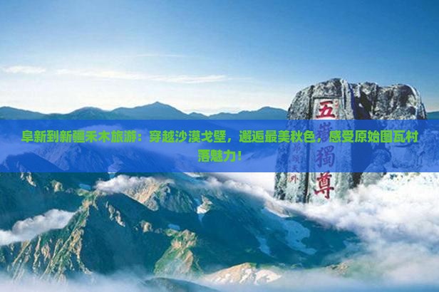 阜新到新疆禾木旅游