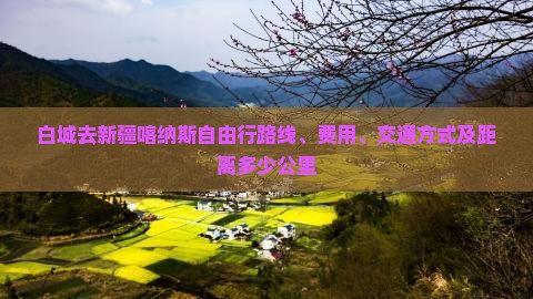 白城去新疆喀纳斯自由行