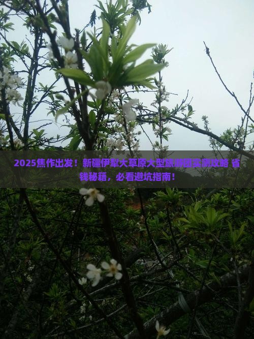 焦作到新疆伊犁大草原大型旅游团