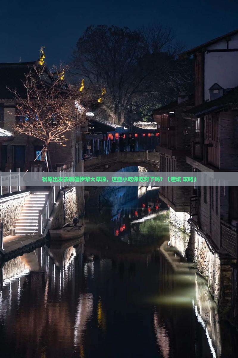 松原到新疆伊犁大草原旅游小吃