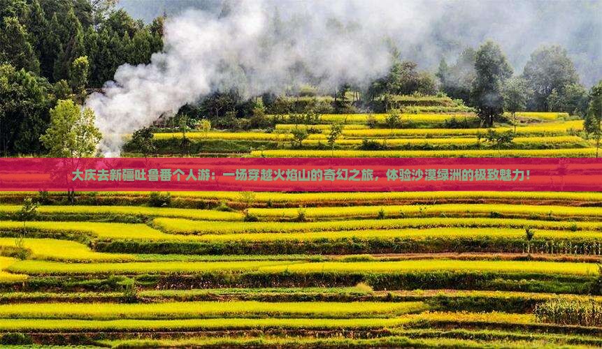 大庆去新疆吐鲁番个人游