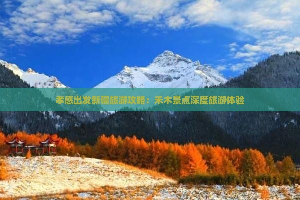 孝感到新疆禾木景点