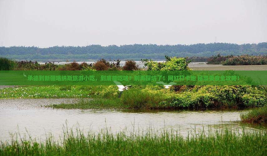 承德到新疆喀纳斯旅游小吃
