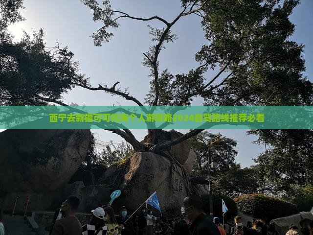 西宁去新疆可可托海个人游