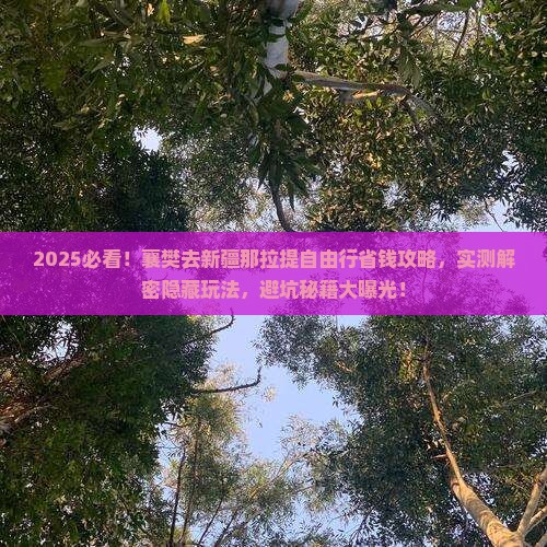 襄樊去新疆那拉提自由行