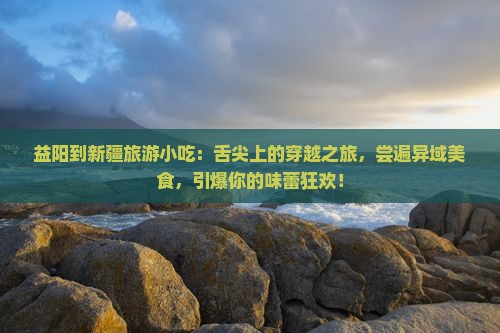 益阳到新疆旅游小吃
