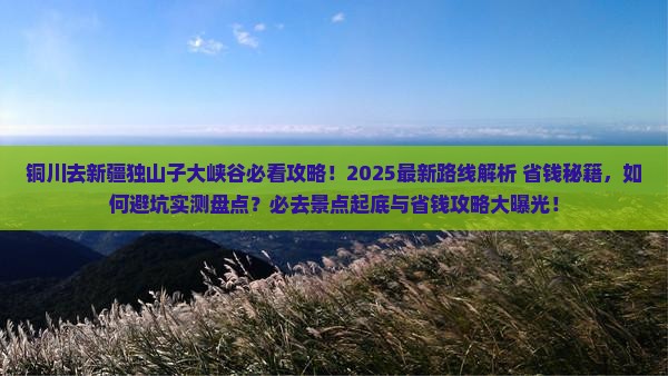 铜川去新疆独山子大峡谷必去地