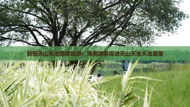海南省直辖到新疆天山天池团体旅游