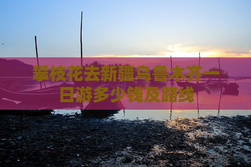 攀枝花去新疆乌鲁木齐一日 攀枝花去新疆乌鲁木齐一日