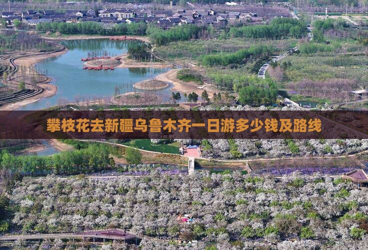 攀枝花去新疆乌鲁木齐一日 攀枝花去新疆乌鲁木齐一日