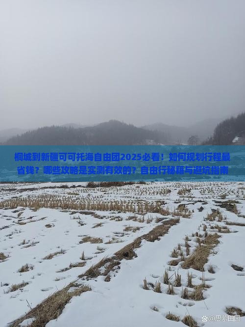 桐城到新疆可可托海自由团