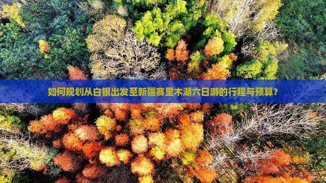 如何规划从白银出发至新疆赛里木湖六日游的行程与预算？