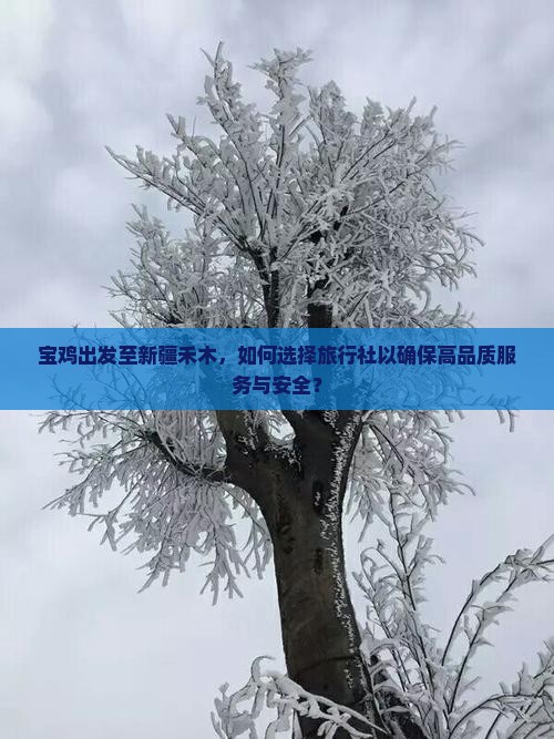 宝鸡出发至新疆禾木，如何选择旅行社以确保高品质服务与安全？