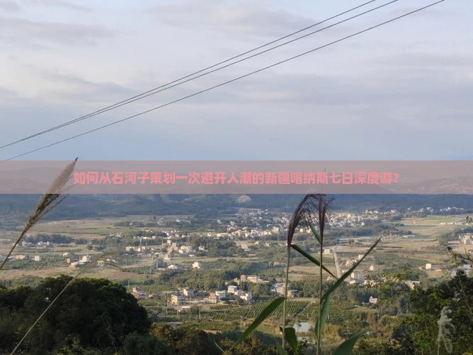 如何从石河子策划一次避开人潮的新疆喀纳斯七日深度游？