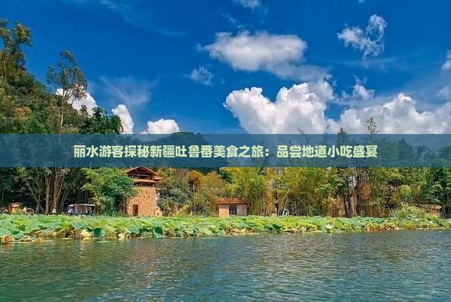 丽水游客探秘新疆吐鲁番美食之旅：品尝地道小吃盛宴