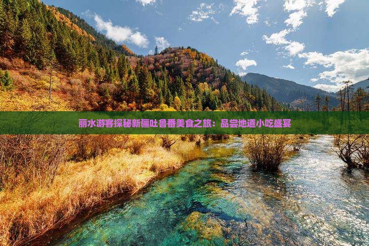 丽水游客探秘新疆吐鲁番美食之旅：品尝地道小吃盛宴