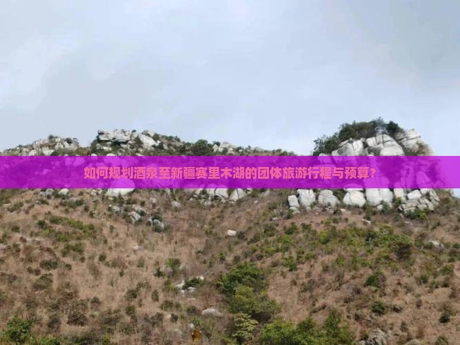 如何规划酒泉至新疆赛里木湖的团体旅游行程与预算？