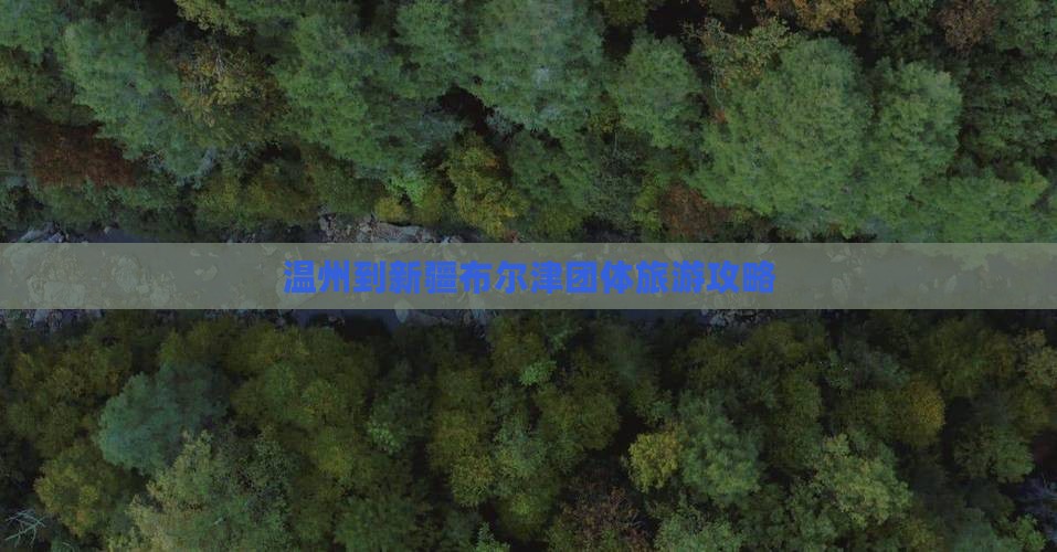 温州到新疆布尔津团体旅游攻略