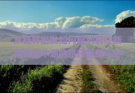 从桂林出发如何规划前往新疆赛里木湖的旅行路线与必游景点？