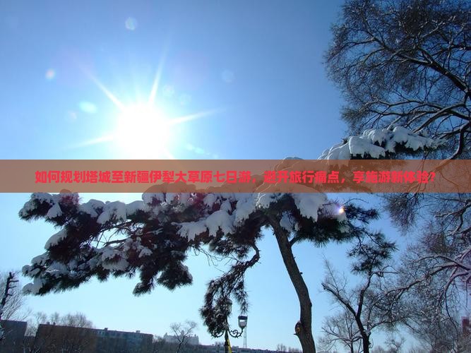 如何规划塔城至新疆伊犁大草原七日游，避开旅行痛点，享施游新体验？