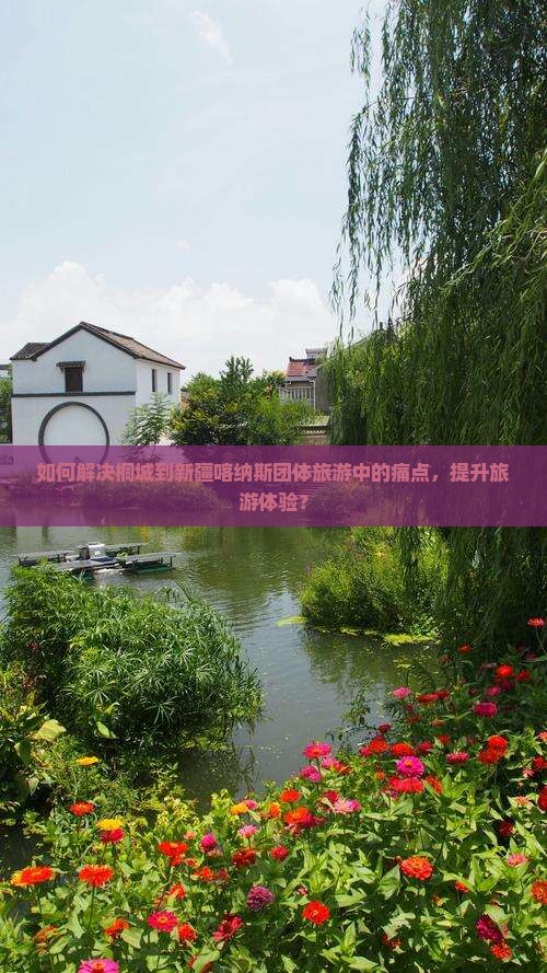 如何解决桐城到新疆喀纳斯团体旅游中的痛点，提升旅游体验？