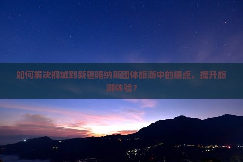 如何解决桐城到新疆喀纳斯团体旅游中的痛点，提升旅游体验？