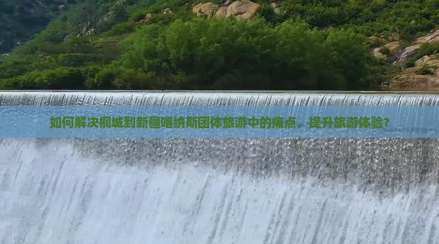 如何解决桐城到新疆喀纳斯团体旅游中的痛点，提升旅游体验？