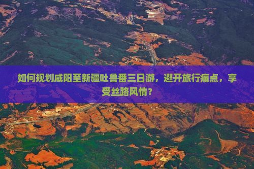 如何规划咸阳至新疆吐鲁番三日游，避开旅行痛点，享受丝路风情？