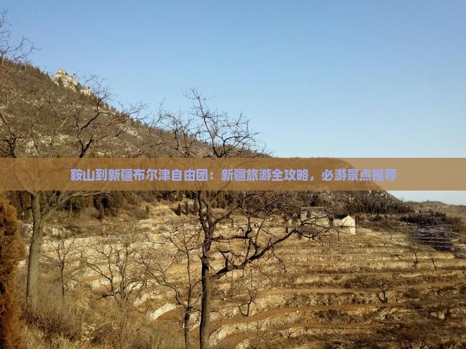 鞍山到新疆布尔津自由团：新疆旅游全攻略，必游景点推荐
