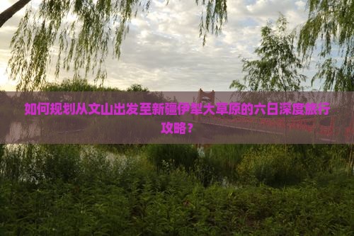 如何规划从文山出发至新疆伊犁大草原的六日深度旅行攻略？