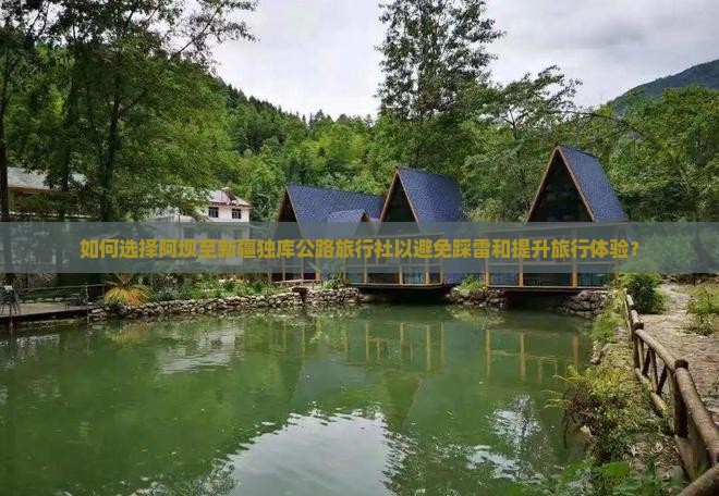 如何选择阿坝至新疆独库公路旅行社以避免踩雷和提升旅行体验？