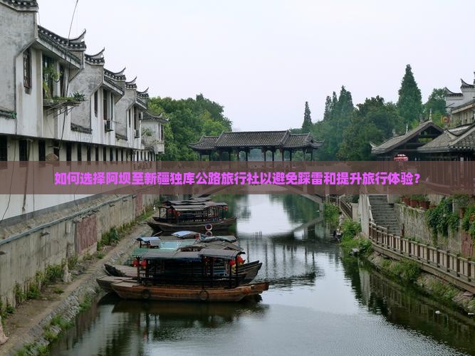 如何选择阿坝至新疆独库公路旅行社以避免踩雷和提升旅行体验？