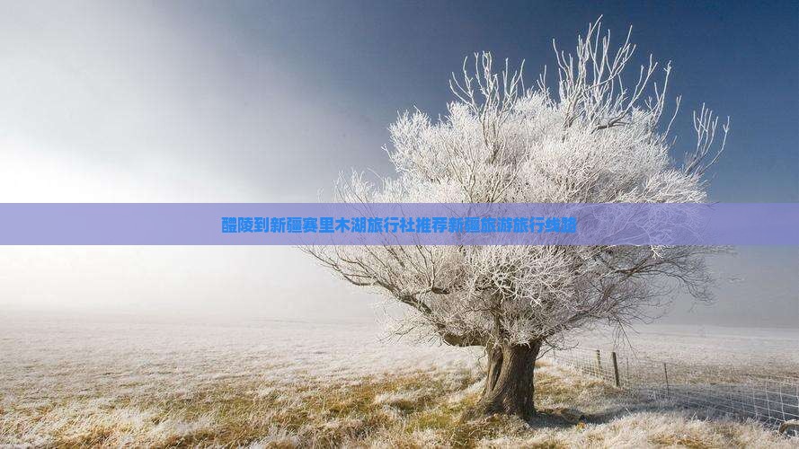 醴陵到新疆赛里木湖旅行社推荐新疆旅游旅行线路
