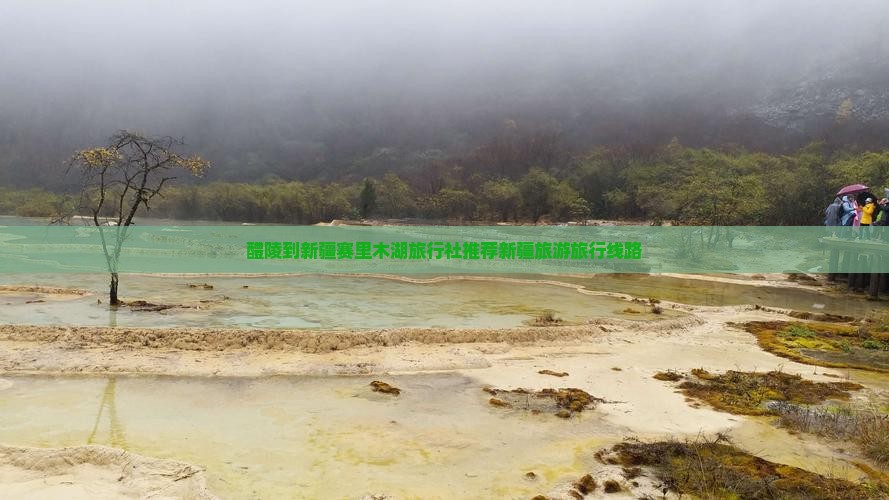 醴陵到新疆赛里木湖旅行社推荐新疆旅游旅行线路