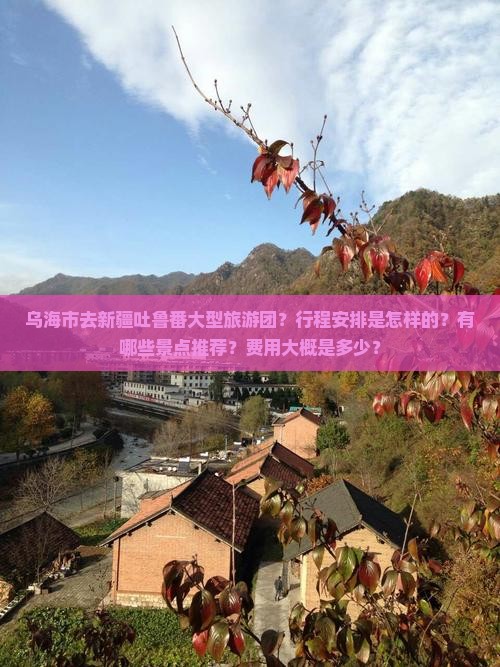 乌海市去新疆吐鲁番大型旅游团？行程安排是怎样的？有哪些景点推荐？费用大概是多少？