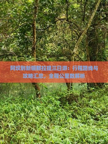 阿坝到新疆那拉提三日游：行程路线与攻略汇总，全程公里数解析